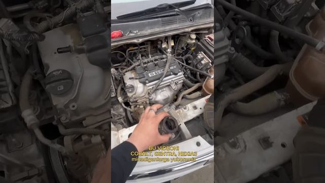 Заслонка нима учун тез тулиб колади смотреть онлайн