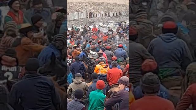 кокбору спорт (2) смотреть онлайн