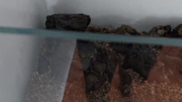 Хардскейп для раков смотреть онлайн