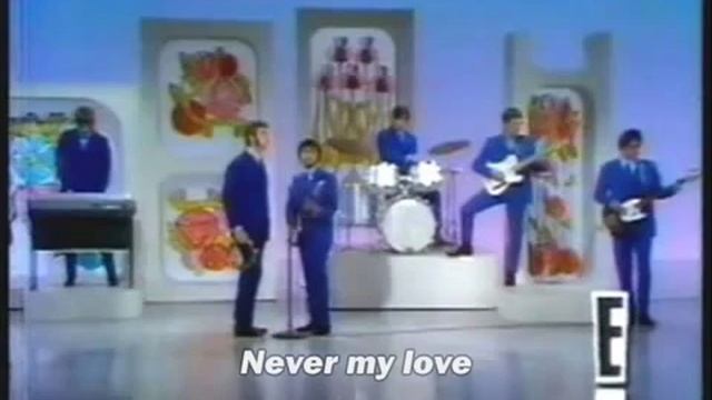 Never My Love Lyrics The Association смотреть онлайн