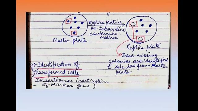 Selection of clones смотреть онлайн