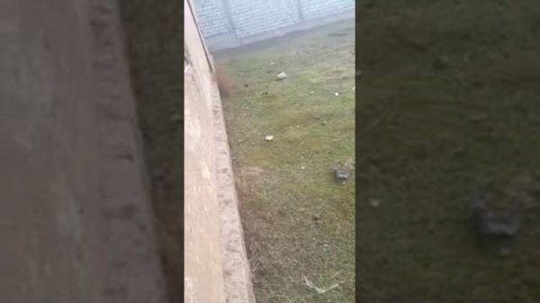 МОЛХОНАДА ЗАПАЛ БУЛДИ БУ ШУМТАКАЛАР . #ЗАПАЛ #zapal