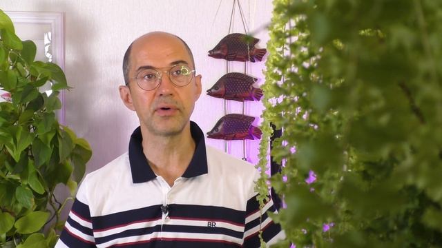 Почему обязательно нужно удалять эти листья у фиалок?