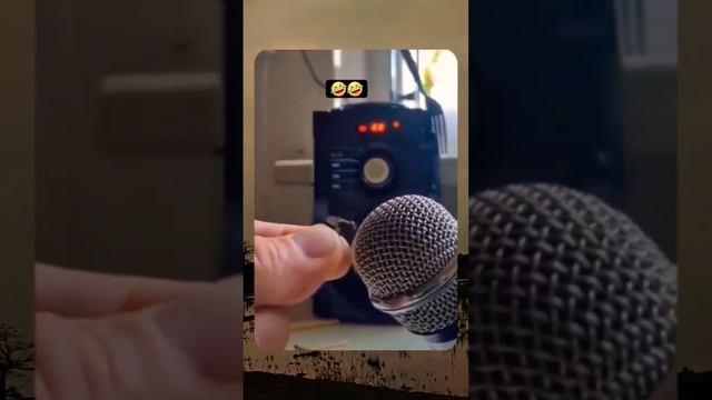 Пение за кулисами: комедийный концерт Fly Maestro смотреть онлайн