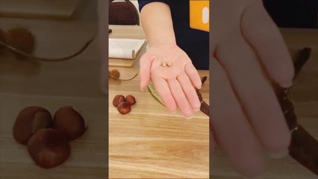 Виды плодов покрытосеменных растений (Angiosperm meyvələrinin növləri) смотреть онлайн