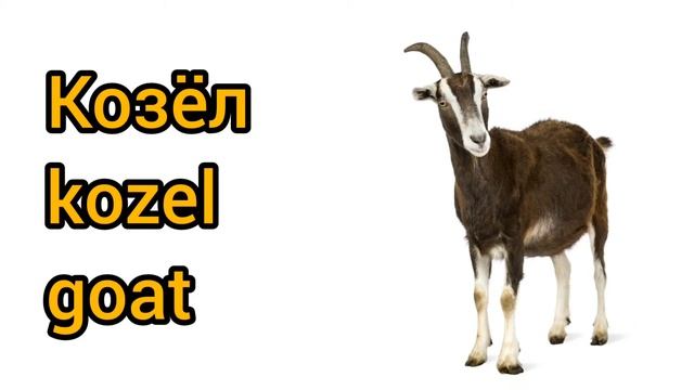 Как произносится козёл по-русски смотреть онлайн