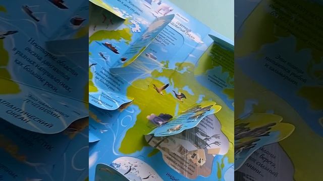 «Открой тайны. Океаны» | Что общего у морских коньков и людей? 😁 смотреть онлайн