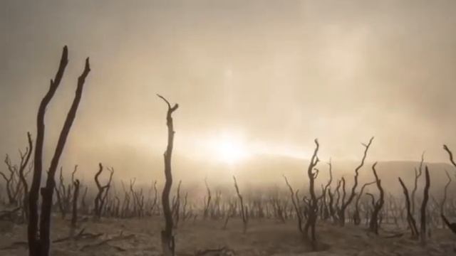 Орстхой , карабулаки , вайнахи, кавказцы