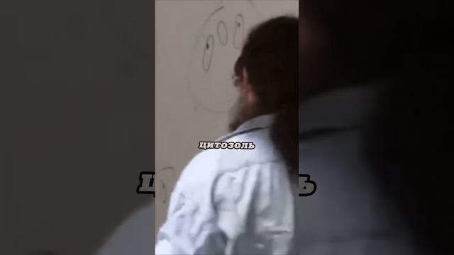 Роберт Сапольски. Случай. #наука #science #short смотреть онлайн