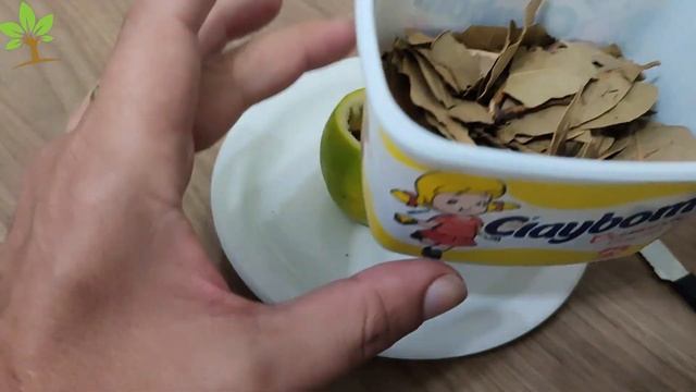 É só misturar CARVÃO na LARANJA e não precisa mais comprar no mercado смотреть онлайн