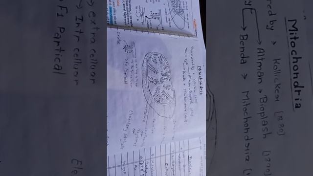 Cell Orgenell Mitochondria  #mitochondria  Figure Of Mitochondria 👍👍👍👍👌💯✍