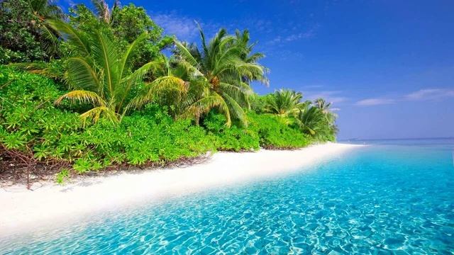 01-Tropical-Full-Track смотреть онлайн