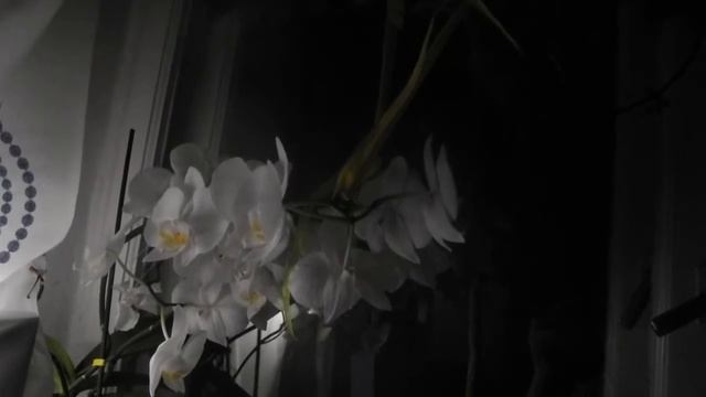 Лекторский мир