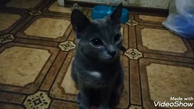 НАШ НОВЫЙ КАНАЛ ПОДПИСЫВАЙТЕСЬ смотреть онлайн