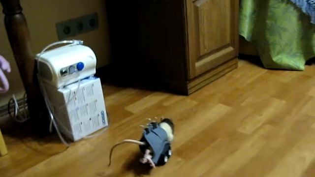 Фрося на колёсах смотреть онлайн