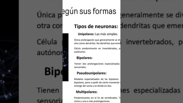 Exposición de las células del sistema nervioso grupo A смотреть онлайн