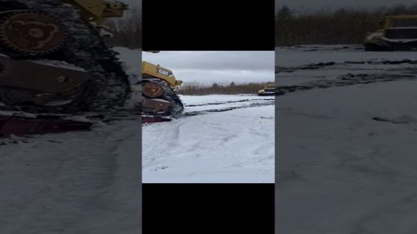 8753651738923237112.mp4