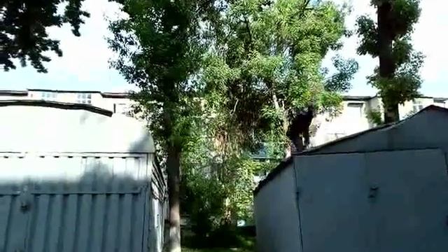 Вампиры среди нас смотреть онлайн