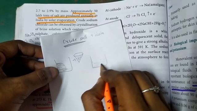 Sodium chloride... Properties, preparation, uses... 11th Chemistry... Alkali and Alkaline metals in смотреть онлайн