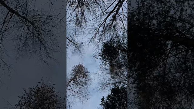 Всесезонная купель Polarspa – это пространство для общения и дружеских встреч. 😻 смотреть онлайн