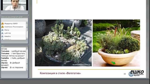 Композиция в стиле «Вегетатив» смотреть онлайн