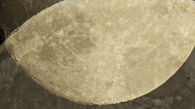 LUNA...NIKON COOLPIX  P900