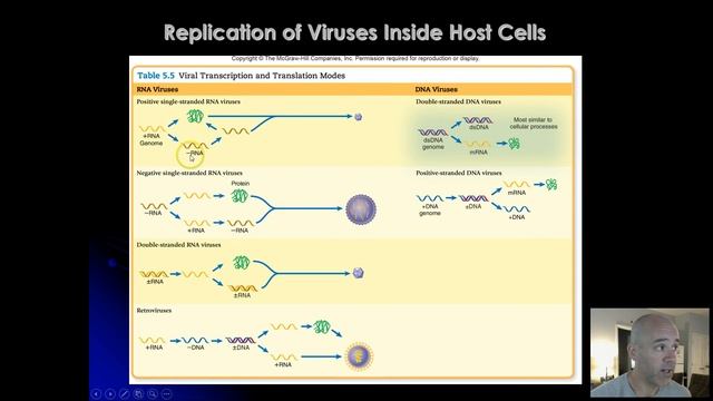 BIO 220 -  CHAPTER 5 - VIRUSES 2 - VIRUS REPLICATION