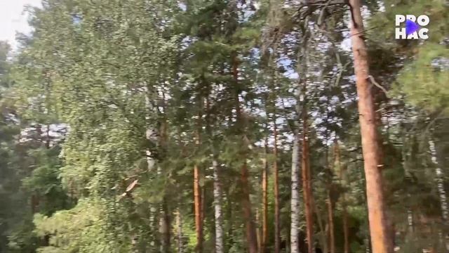 Шурыгина «социальная реклама». «КреативФест GREEN» смотреть онлайн
