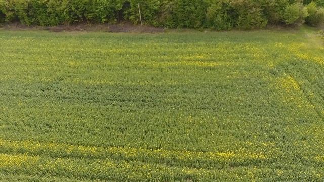 HLB02 02 05 19