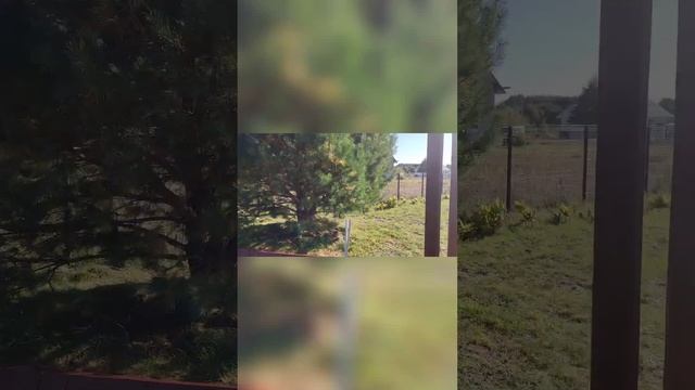 Садовая скамейка своими руками из досок закончена! Wooden garden bench made of planks. DIY