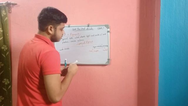 Cell The Unit Of Life Class-5 Mitochondrial And Plastid Detailed Study