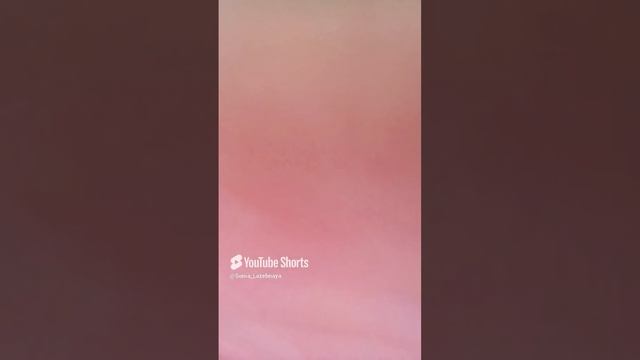 13 ноября 2024 г. смотреть онлайн