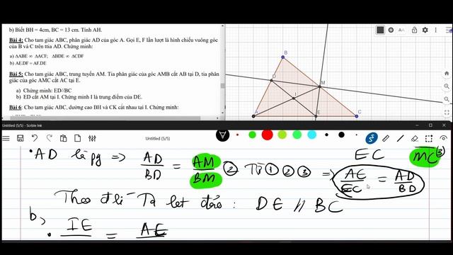 Hình học 8 .Ôn thi giữa HK2. Các trường hợp đồng dạng, Định lí Ta – lét,Tính chất đường phân giác. смотреть онлайн