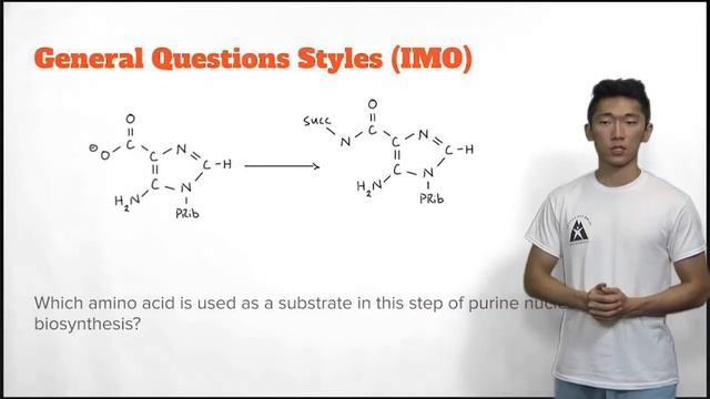 our honest thoughts. (about MORE nitrogen metabolism) смотреть онлайн