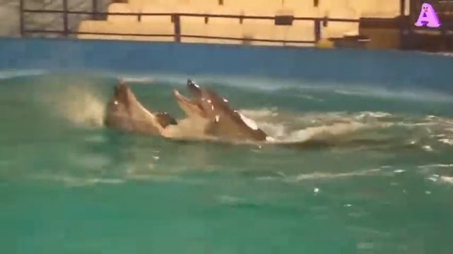 ✅ТАКОЙ ЛАМБАДЫ ВЫ ЕЩЕ НЕ ВИДЕЛИ!👍 РЕАЛЬНО КЛАСС!🎧ПОСЛУШАЙТЕ