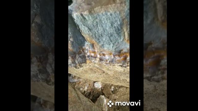 Плинбахский ярус