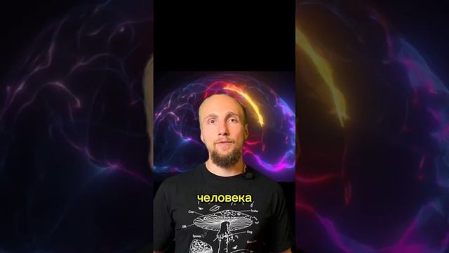Почему все едят #Ежовик Гребенчатый, а ты нет? Польза и эффекты🧠