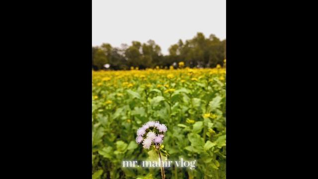 Purnota Full Song By WARFEZ. Lofi ... #foryou #warface #music #lofi