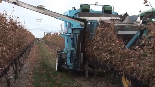 Uzum yetishtirish va uni terish mashinasi ajoyib смотреть онлайн