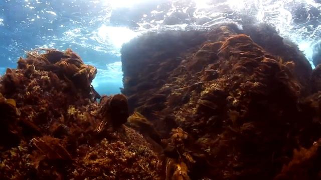 Sea Music Improvisation 01