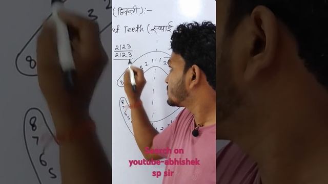 Digestive system in Human-Permanent Teeth