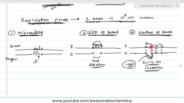 PART-1: Mismatch Repair | Replication Errors | DNA Methylation