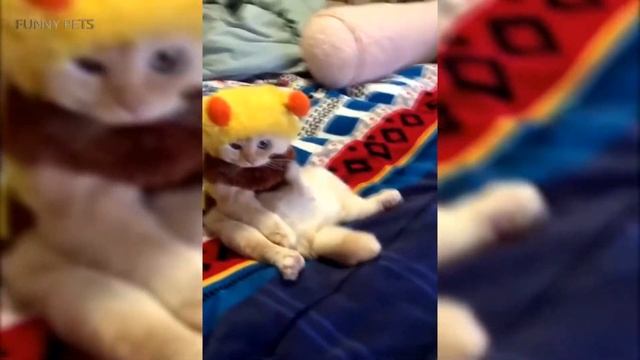 Лучшие Приколы 2017 #23 Топ Самые Смешные Видео Приколы Youtube