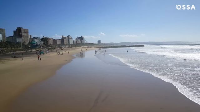 10 Luttes Secrètes de Princesse Charlène de Monaco смотреть онлайн