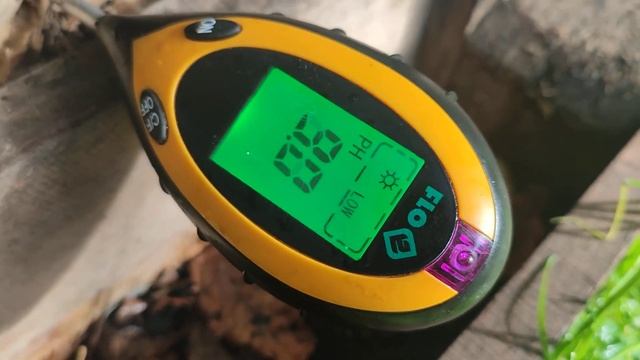 dżdżownice kalifornijskie - pH 7.5 pomimo dołożonych iglaków смотреть онлайн