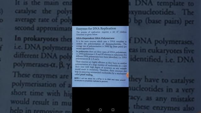 Enzymes for DNA replication class 12 смотреть онлайн
