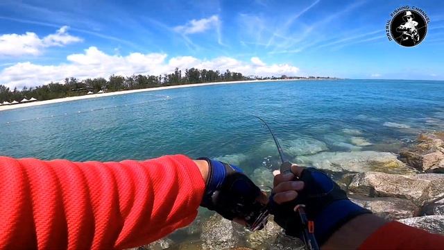 Vlog07: Putus Mainline |ultralight Fishing| Ajing Fishing