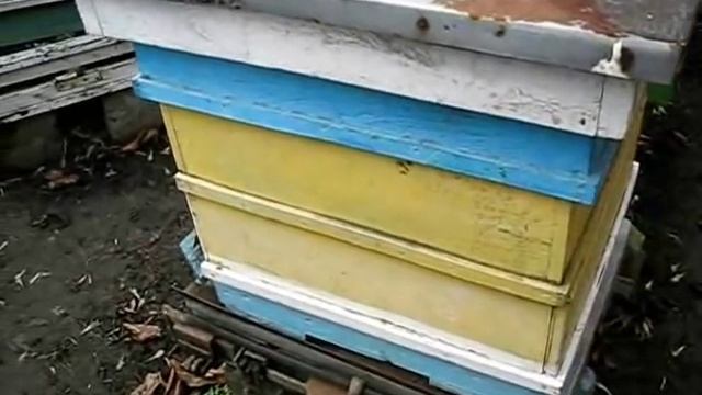 ПРИБЛИЗИТЕЛЬНЫЙ расход корма за два месяца зимовки(14.12.2019г.) смотреть онлайн