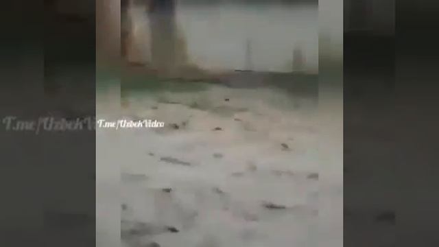 Сурхондарё тумани олтин сой кишлоги смотреть онлайн