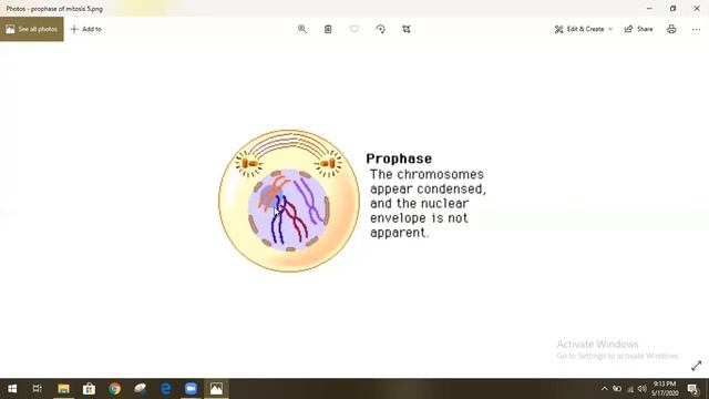 Biology 9th Lec 16 Week 05 Cell Cycle